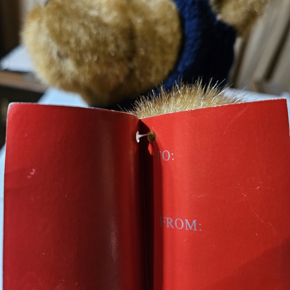 Patriotic Teddy Bear with Flag Sweater - Picture 9 of 12